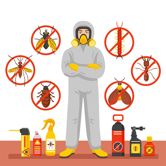 Expert Pest Control Company in Macarthur Area